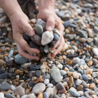 Gathering pebbles