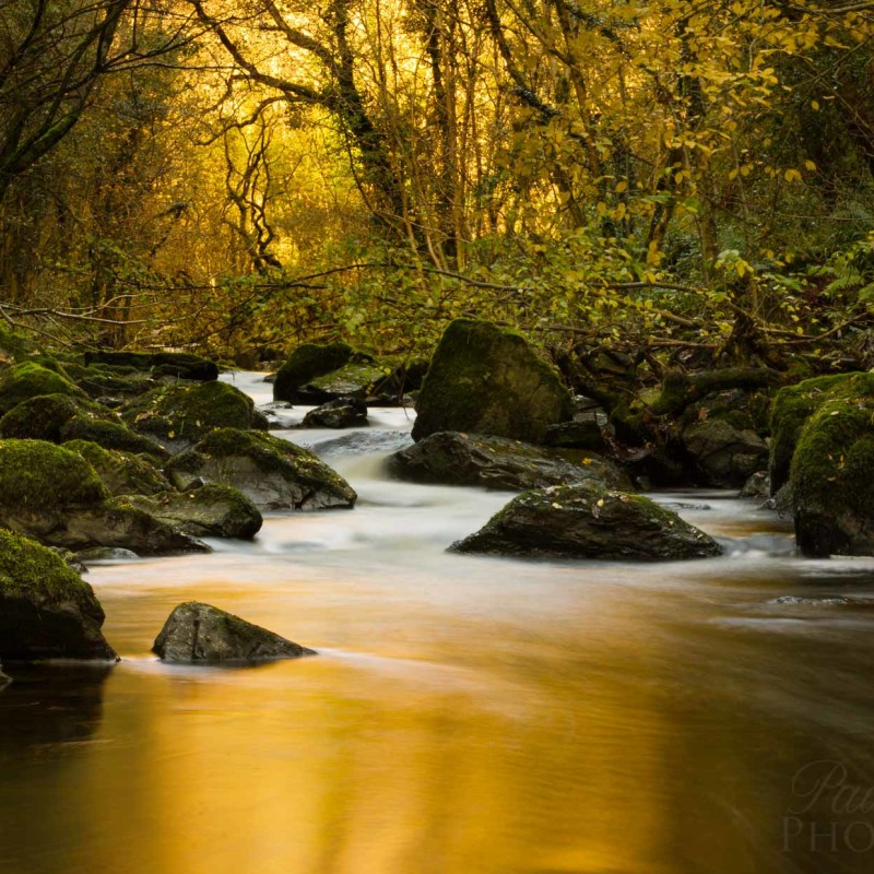 Golden river run