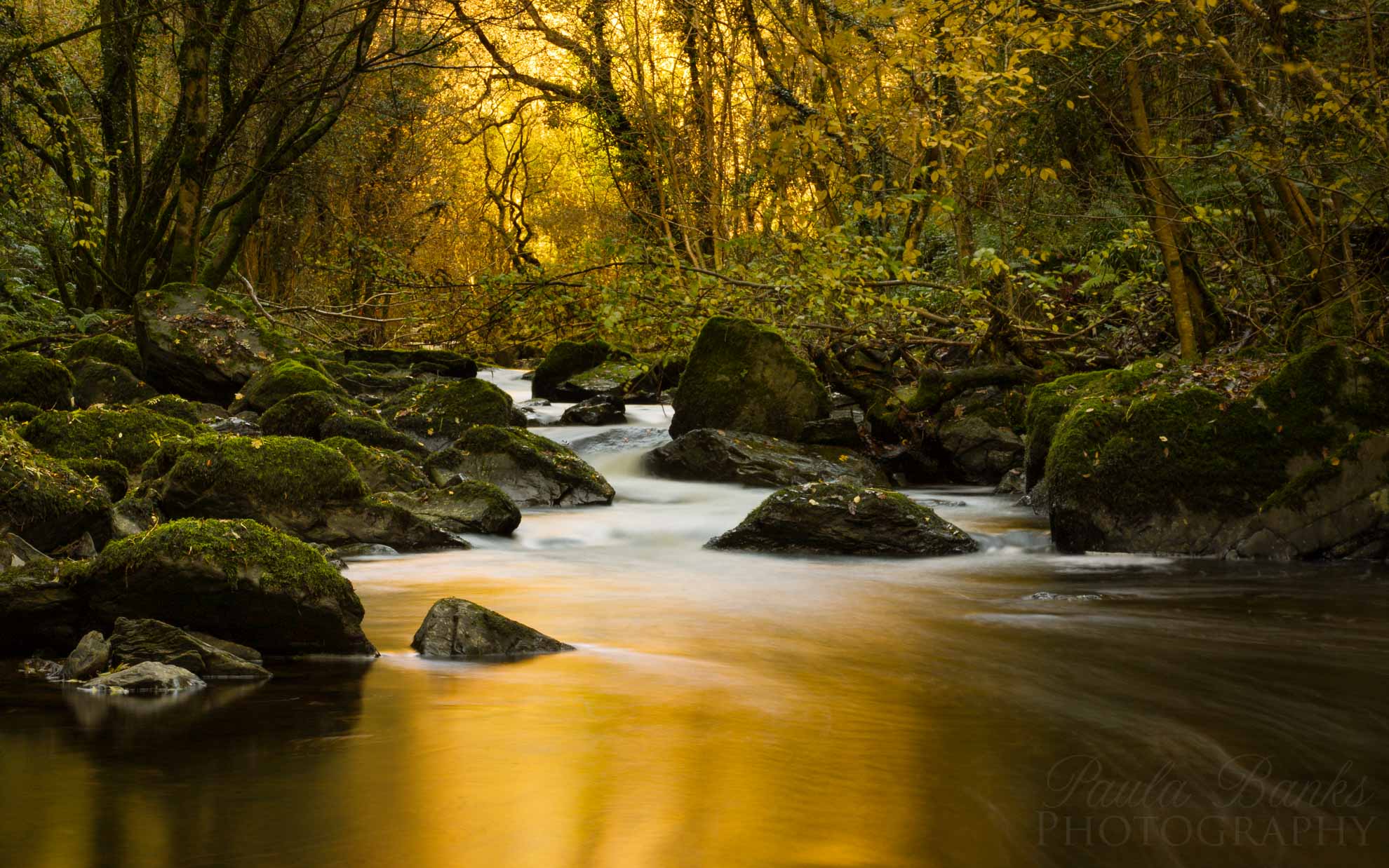 Golden river run