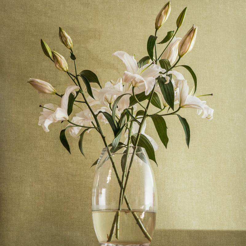 lilies_6015-edit2_1920px