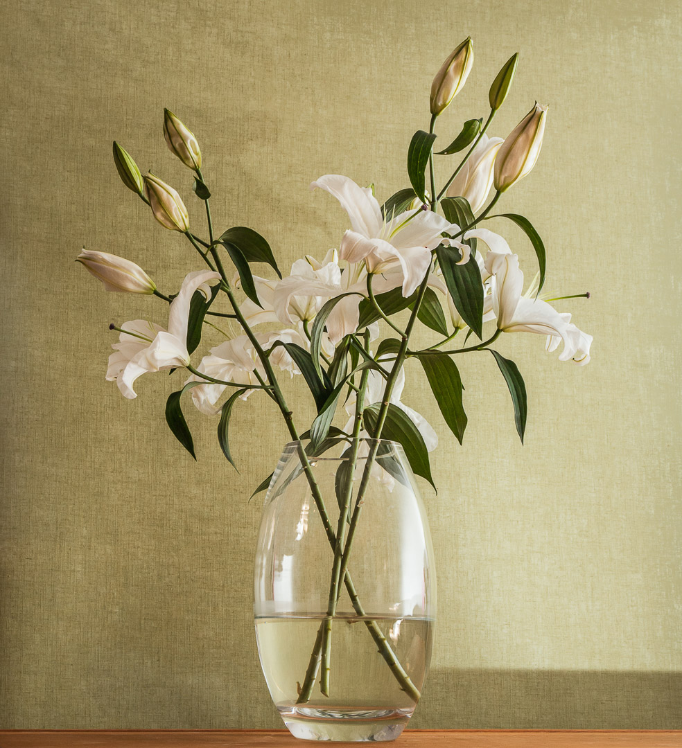 lilies_6015-edit2_1920px